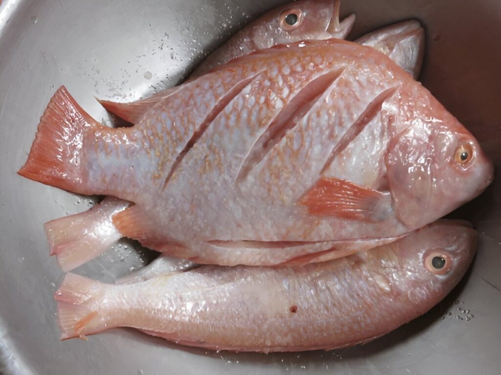 Raw Ruby fish with or Red Tilapia Fish the cutting line by knife and red fishes for cooking