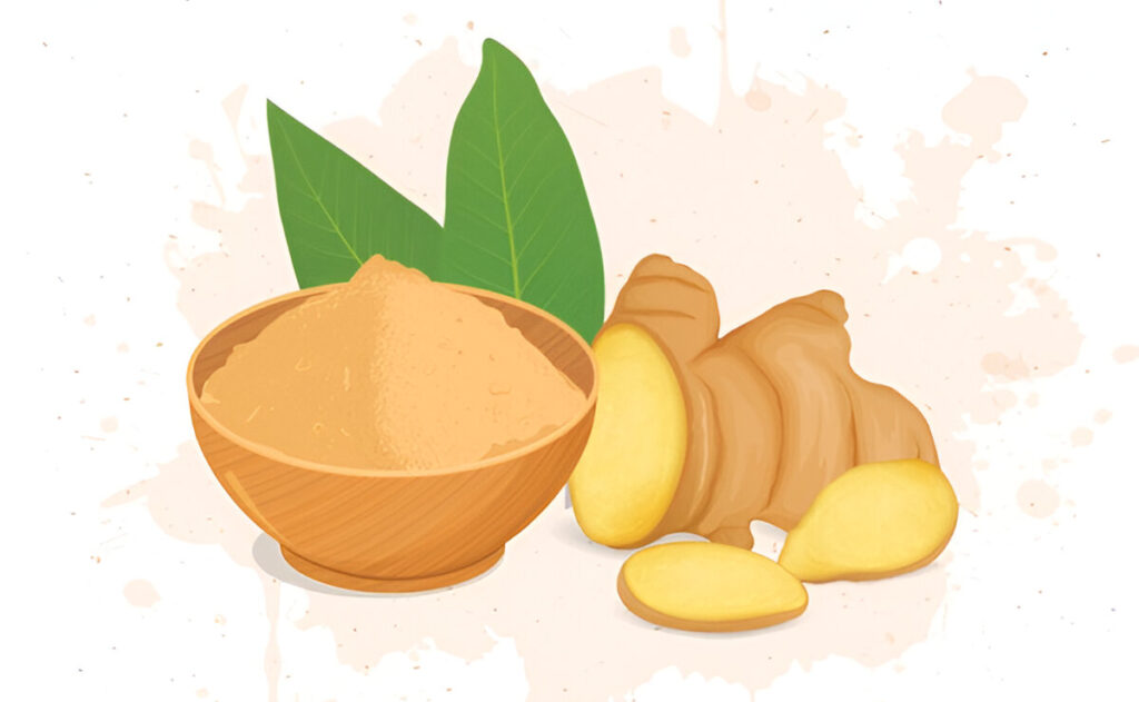 Ginger powder bowl with ginger root vector illustration with ginger pieces and green leaves