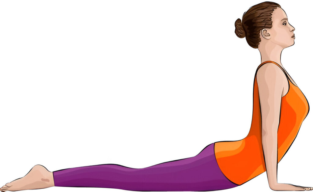 The Correct Way to Do Bhujangasana