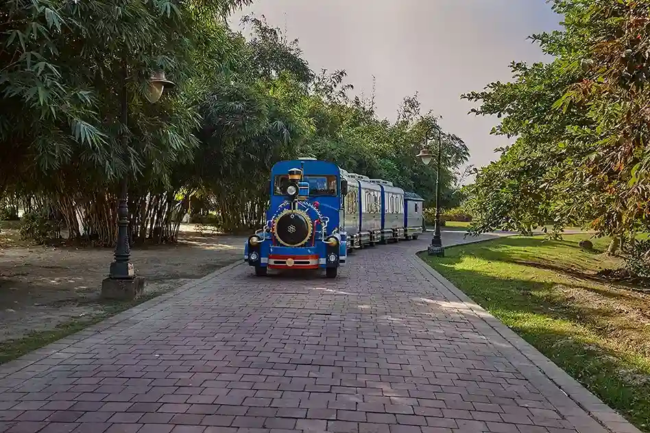 Toy Train in Eco Park Kolkata