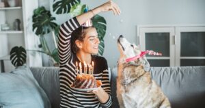 Pet Dog’s Birthday