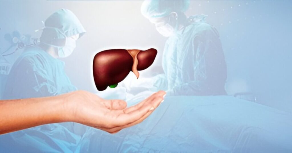 Liver Transplantation: Care Tips and Costs